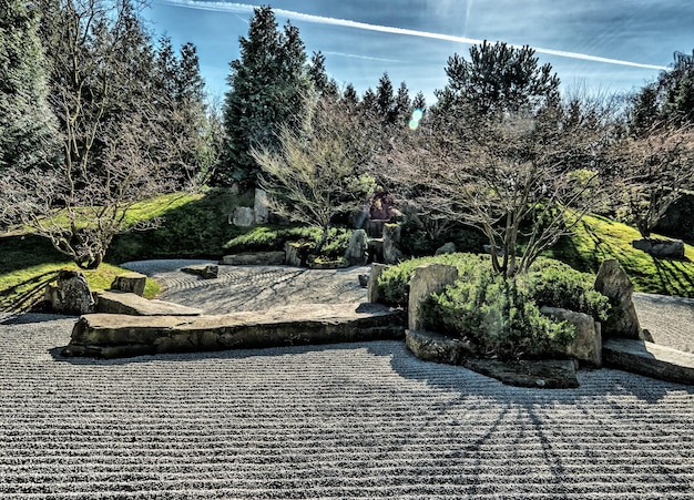 Transform Your Backyard into an Oasis: Landscaping Ideas for Under $5,000