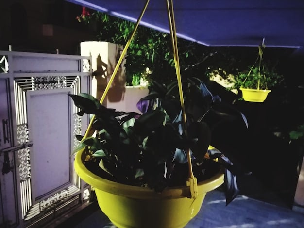A small apartment balcony transformed into a vertical garden oasis with potted plants, string lights, and a bistro set.