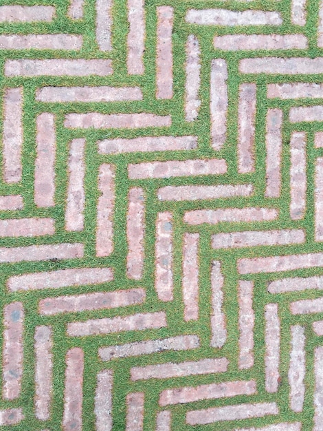A close-up of concrete pavers arranged in a herringbone pattern, showcasing their texture and color variation. The pavers are surrounded by lush green grass, indicating a well-maintained patio edge.