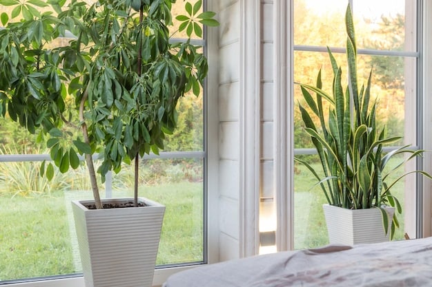 Breathe Easy: Tips & Products to Improve Your Home’s Air Quality