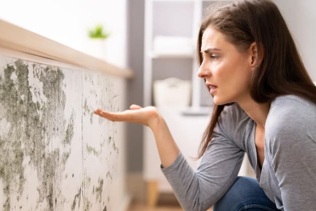 A close-up of a person inspecting a visible patch of mold growing on a damp wall in a basement, using a flashlight for better visibility. The focus is on identifying the source of moisture and the type of mold present.