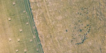 5G Expansion: Revolutionizing Rural Broadband Access in the US (2025 Analysis) - Cover Image