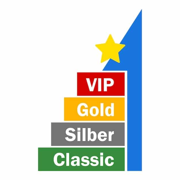 A graphic illustrating the different tiers of the SHEIN VIP program (S, Level 1, Level 2, Level 3) with associated benefits such as exclusive discounts, bonus points, and early access to sales. The design is modern and visually appealing, using SHEIN's brand colors.