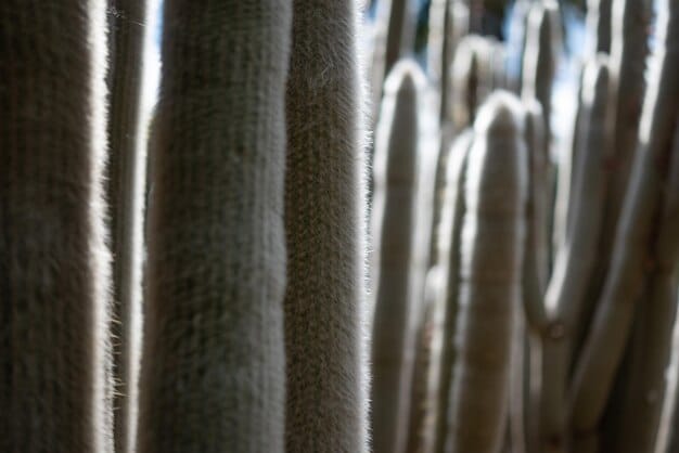 A close-up of a tightly woven linen fabric, showing individual threads and a subtle texture, illuminated by soft natural light.