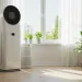 Modern living room with air purifier and green plants, symbolizing a healthier home environment.
